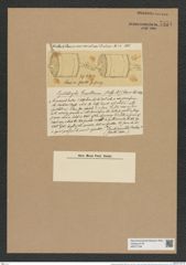 Syndetocystis grevilleana (Ralfs) Grev. (de-Toni-Nr.: Genus 166, Species 4284) Zeichnungen Sammlung Grunow Nr. 7854 (NHMW-BOT-W0377108)